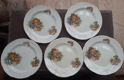 Buy Vintage Barratts Of Staffordshire Somerset Country Cottage Tea Plates   X 5 • 19.99£