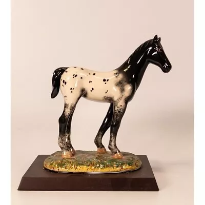 Buy Royal Doulton Appaloosa Foal Horse Figure RDA35 • 75£
