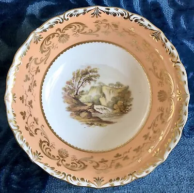 Buy COALPORT Antique Porcelain Tea Slop Bowl Hand Painted Peach Gilded Shropshire ? • 125£