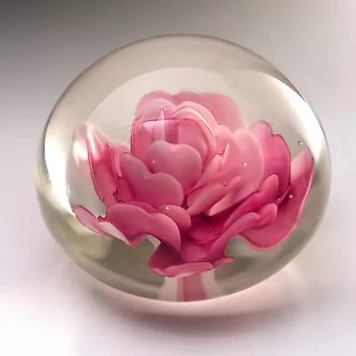 Buy Clear Glass Lamp Work Paperweight. Pink Flower. Floral. Art Decorative Beauty • 24.60£
