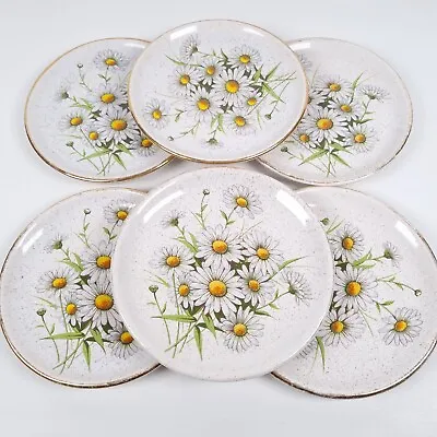 Buy Kernewek Pottery Side Plates 16cm Daisy Floral Pattern Cornwall Vintage Set Of 6 • 24.49£