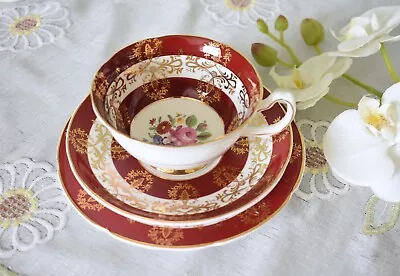 Buy Royal Grafton Burgundy Rose And Gold Filigree ,Tea Cup, Sauce And Side Plate Set • 59£