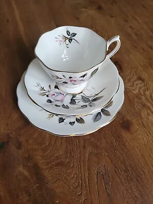 Buy Vintage Royal Albert Queen's Messenger Tea Trio Teacup, Saucer & Tea Plate • 10£