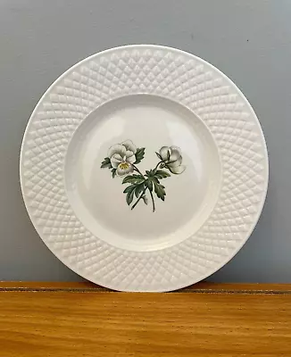Buy Spode Virginia Mansard Y8601 - V White Bone China Salad Plate 19.75cm 7.75  • 18.99£