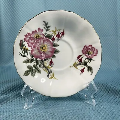 Buy Royal Adderley Bone China England Pink Rose Floral Saucer - Delicate & Beautiful • 12.46£