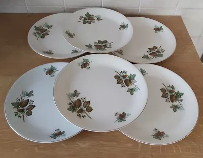 Buy 6 X Vintage Alfred Meakin Glo White Ironstone  Pinewood  Pattern Dinner Plates. • 11.99£
