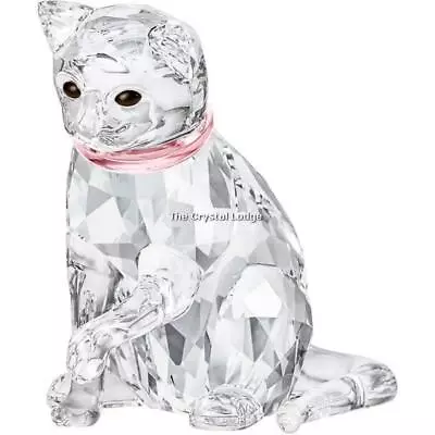 Buy Swarovski Crystal Cat Mother (pink Collar) 5465836 Mint Boxed Retired Rare • 130£
