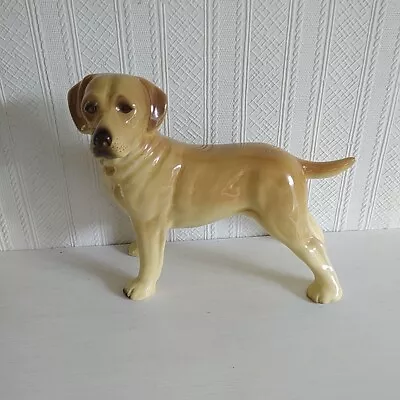 Buy An Attractive Ceramic Dog Has A Few Minor Marks See Photos • 12£