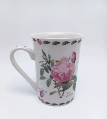 Buy Kent Pottery Rosa Centifolia Porcelain Rose Tea Cup • 12.92£