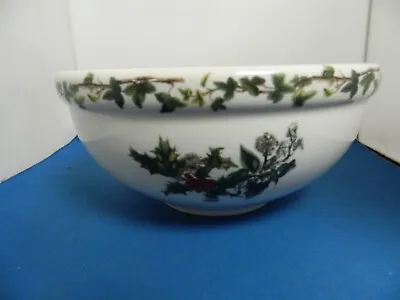 Buy Portmeirion Holly And Ivy 9  Salad Bowl • 27.50£
