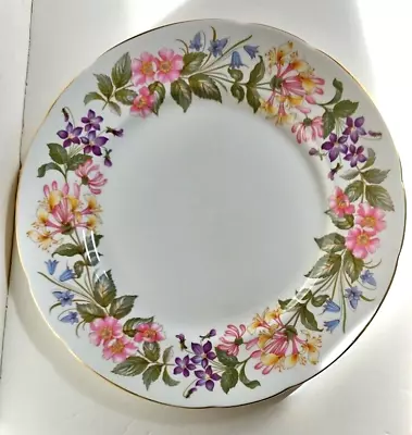 Buy Set Of Six Paragon China Dinner Plates In The  Country Lane  Pattern - 27 Cm • 28£