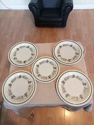 Buy Royal Doulton Harvest Garland Lambethware 4 Dinner Plates 9.5  24.5cm + 21.5cm • 20£