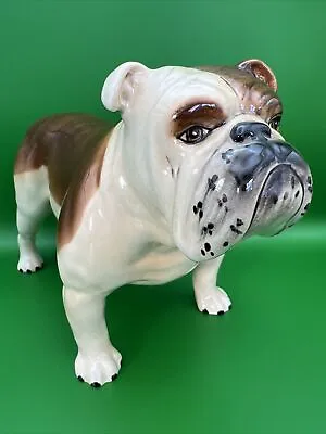 Buy Large Beswick British Bulldog Figurine • 30£
