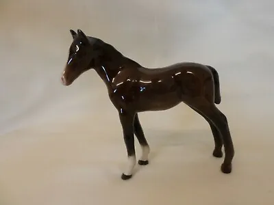 Buy RARE HORSE Beswick Thoroughbred  (small) Gloss Brown  • 17£