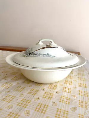 Buy Royal Doulton The Coppice D5803 Lidded Tureen 9.25 Inch Diameter. • 14£