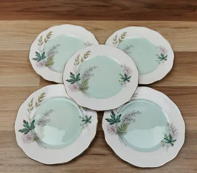 Buy 5 X Vintage Queen Anne Louise Green With Gold Edge Bone China Tea / Side Plates • 16.99£