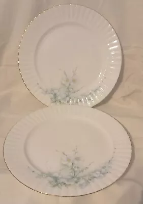 Buy 2 ROYAL STAFFORD White Apple Blossom Bone China  Dinner Plates • 8.99£