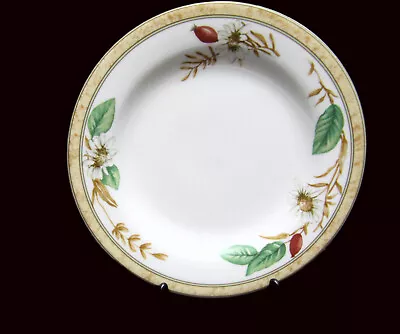 Buy Royal Doulton Expressions Edenfield Starter Plates 20cm • 4.99£