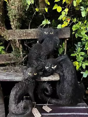 Buy Black Cat Salem 32.5cm & Salem 19.6cm  Large Black Cat Spite 25.5 Cm Witches • 37.99£