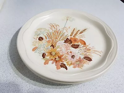 Buy  Vintage Poole Pottery Summer Glory X 3 Large Dinner Plates  • 3£