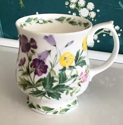 Buy Floral Queens Royal Horticultural Society The Garden Fine Bone China Footed Mug • 7.99£