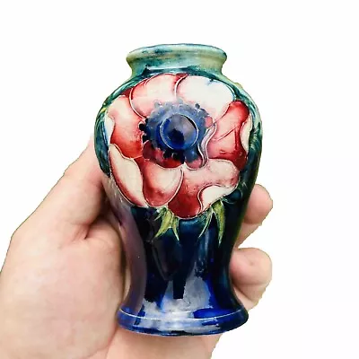 Buy Moorcroft Pottery Anemone Vase William Walter England H11cm Mud Century • 140£
