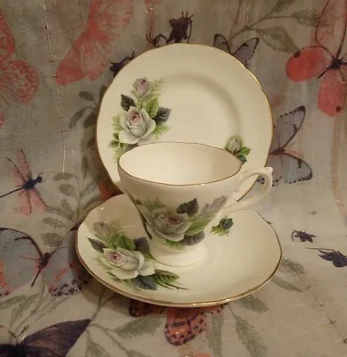 Buy Lovely Vintage Royal Sutherland White Roses Trio.   Made In England.        73d • 7.65£
