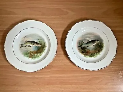 Buy Woods Ivory Ware Freshwater Fish 2 Plates Pike Trout ? Gold Edging Vintage  • 12£