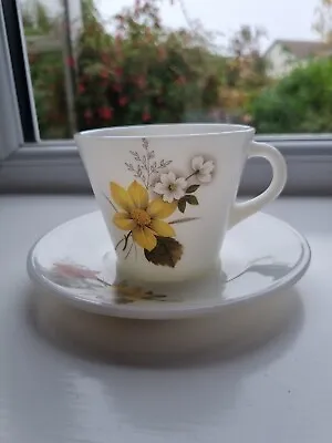 Buy Vintage Retro JAJ Pyrex Glass  Autumn Glory  - Cup Saucer Set Floral Tea • 3.99£