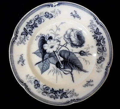 Buy RIDGWAY & MORLEY Verona Pattern Plate C1842 Blue White Rare Early Victorian B14e • 12£