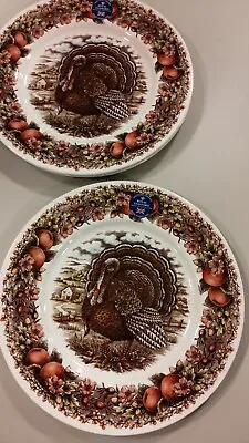 Buy Set 4 NEW Royal Stafford HARVEST TURKEY DINNER  PLATES Thanksgiving Apples Acorn • 62.40£