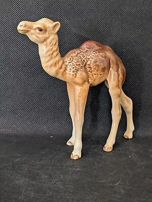 Buy Beswick Porcelain Camel Calf Figure, Rare. Small Sized Pottery Animal.  H 13cm. • 34.95£