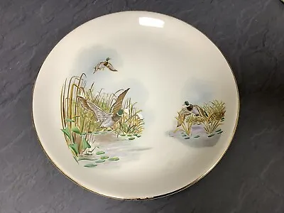 Buy Rare Swinnertons Wild Ducks Dinner Plate • 8£