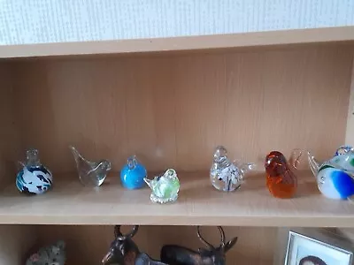 Buy Selection Of (7) Glass Bird Paperweights/ornaments  Perfect  Condition • 30£