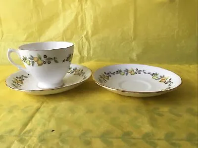 Buy Royal Vale Bone China Teacup And 2 Saucers • 4.50£
