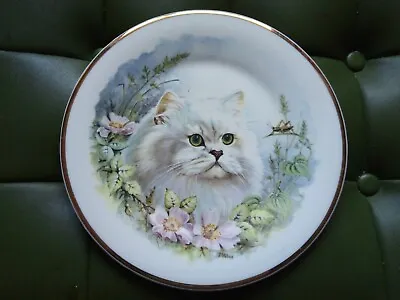 Buy Vintage Prinknash Pottery White Fluffy Cat With Flowers Plate  • 9.99£