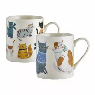 Buy Price & Kensington Adorable Cosy Cats Design Assorted Fine China Mugs 340ml • 7.42£