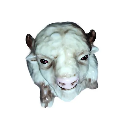 Buy Kevin Francis Ceramic Face Pot Tantrica The White Buffalo Face Pot FP097 • 22.50£