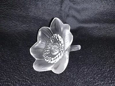 Buy Lalique ANEMONE Clear Crystal Sculpture/Collectible • 237.77£