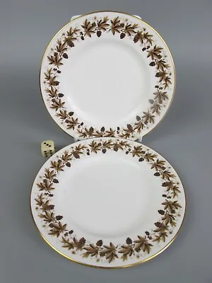 Buy Wedgwood Autumn Vine Plates X 2. Tea / Side / Cake. Bone China. Vintage. 6  • 12.99£