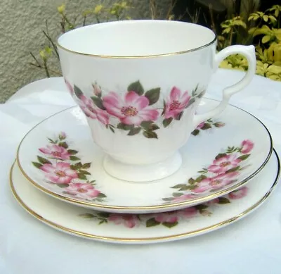 Buy Vintage Rose Trio  Royal Kent Bone China Teacup Pink Floral  Dog Roses • 10.99£