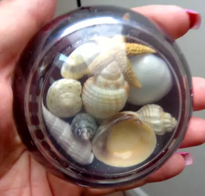 Buy Vintage Handmade Seashell Paperweight Round Glass-shells Under Glass • 17.35£