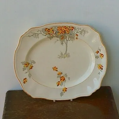 Buy Vintage (1930's) Alfred Meakin (Marigold Design) Fine Bone China Small Serving P • 11.99£