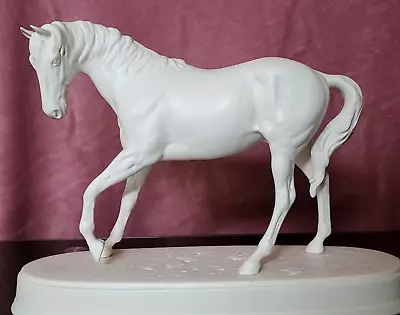 Buy Beswick Rare Spirit Of Youth Horse In Matt White On Oval Ceramic Plinth • 69.99£