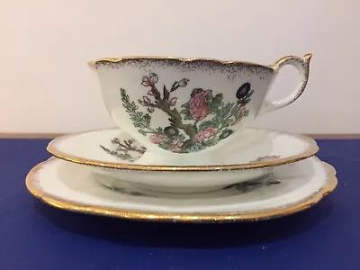 Buy Aynsley Indian Tree Type Pattern Gilt Scalloped Trio • 10£
