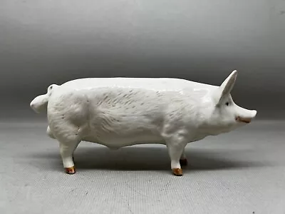 Buy Beswick Hand Painted CH Wall  Champion Boy  Boar Pig (P-224 224) • 19.50£
