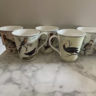 Buy Aynsley Ornithological Study Audubon Birds Fine Bone China Set Of 5 Mugs Cup • 76.84£