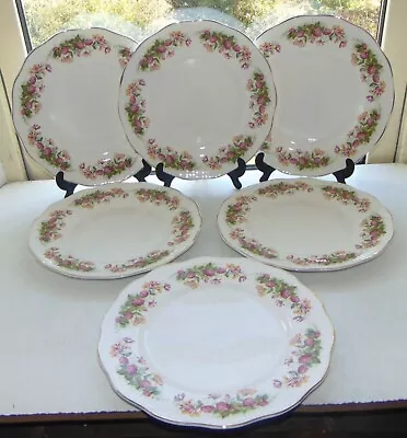 Buy Queens Rosina China Woman & Home 6 X Dinner Plates Clover & Honeysuckle C1960s • 15£
