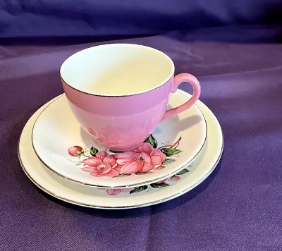 Buy Alfred Meakin Vintage  Trio Tea Set - Pink With Flowers • 6£