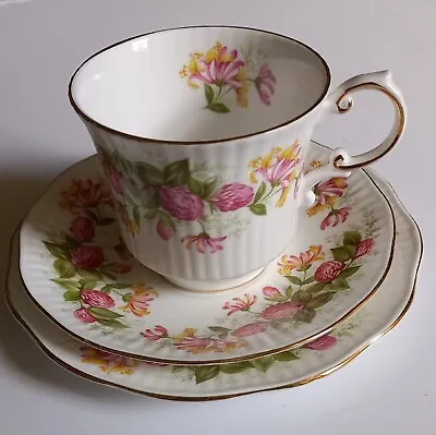 Buy Vintage Queens Rosina China Co ‘woman And Home ‘ Trio  Footed Cup, Saucer &plate • 5.99£